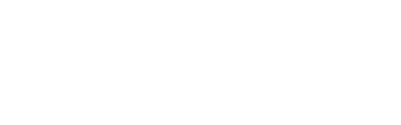 Connected Connections Logo white